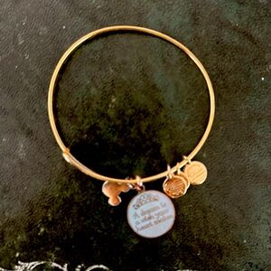 Alex and Ani Disney Bracelet Made
